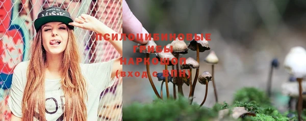 соль ск Лабытнанги
