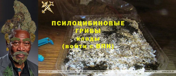 дурь Лагань