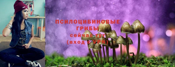 дурь Лагань