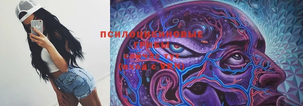 дурь Лагань