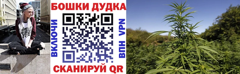 Каннабис сатива  kraken   Шацк  где найти наркотики 